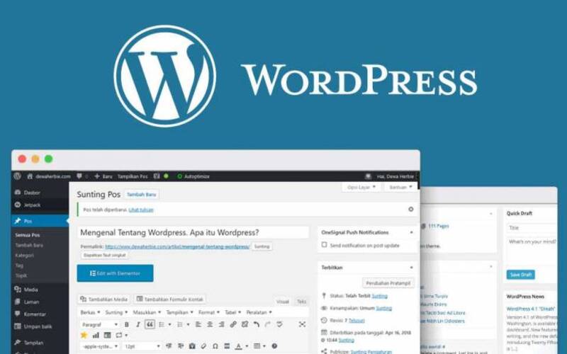 seo-content-wordpress-3 Slug chuẩn giúp Google và người đọc hiểu ngay nội dung bài viết.
