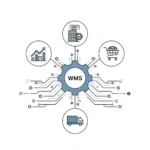 Tích hợp hệ thống quản lý kho (WMS) là gì?